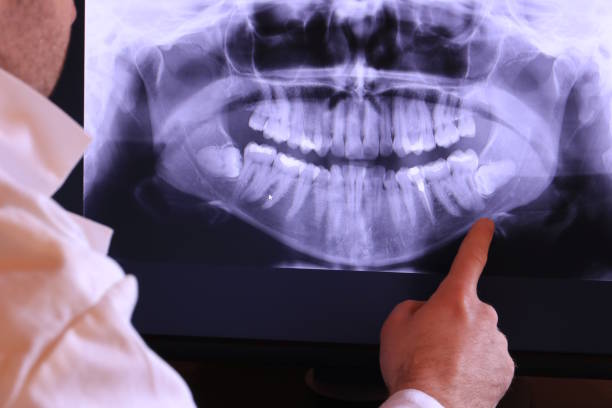 Best Emergency X-Rays and Diagnostics in Murfreesboro, TN